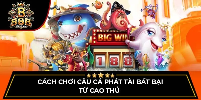 Cách chơi câu cá phát tài bất bại từ cao thủ